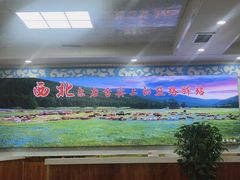-尔力新疆丸子汤(北屯店)