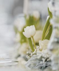 -忆江南婚礼策划(姑苏店)