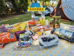 -上海滨江森林公园