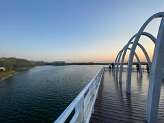 -大兴滨河森林公园