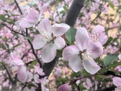 -同济大学-北苑食堂