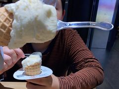 -野人先生现做冰淇淋(北京顺义祥云小镇店)