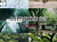 -西湖风景区十里琅珰-五云山