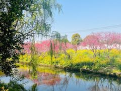 -南汇桃花村