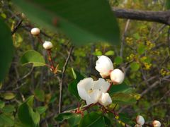 -山西通天峡景区