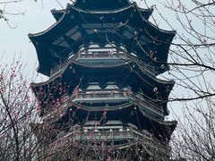 -洋湖国家湿地公园