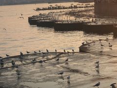 -星海广场