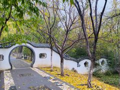 -桃花堤公园