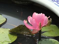 -上海滨江森林公园