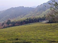-敬亭山风景名胜区