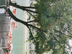 -天目溪漂流
