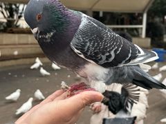 -南昌之星游乐场