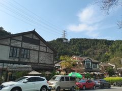 -南山植物园