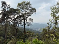 -广州市帽峰山景区