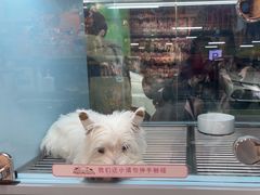 -FAELING PETS美天灵宠物(合生汇店)