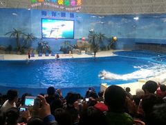 android_upload_pic-泉城欧乐堡海洋极地世界