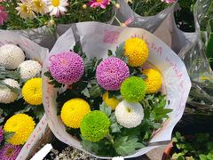 -循礼门鲜花花市(武汉循礼门店)