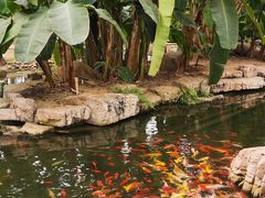 -南通洲际绿博园