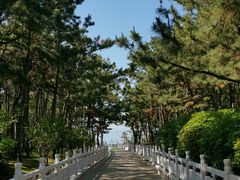 -林海公园