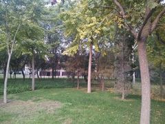 android_upload_pic-金星公园