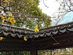 -上海醉白池公园