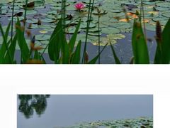 -白鹭湾湿地公园