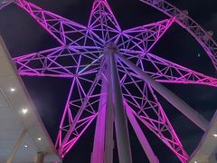 -墨尔本之星 观景摩天轮