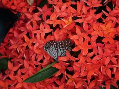 -上海动物园(地铁站)