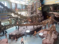 -安徽省地质博物馆