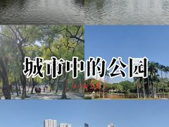 -荔湾湖公园