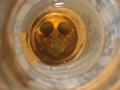 舜龙梅酒-村上一屋·亚洲菜融合小馆(南楼店)