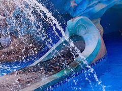 -重庆海昌加勒比海水世界