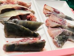 脆鲩鱼头-中山脆肉鲩(新圳东路店)