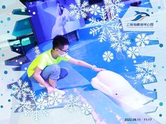 -上海海昌海洋公园-冰山北极馆