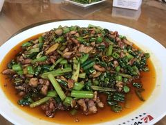 -功夫兔