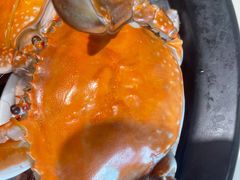 大螃蟹-蓝珊甄选海鲜自助·火锅大排档(近阿那亚店)