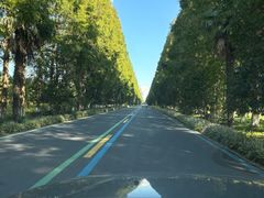 -黄海国家森林公园