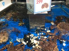 -盒马鲜生(莱蒙都会店)