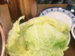 大白菜-百叶居·老北京涮羊肉(鼓楼店)