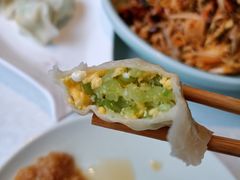 黄瓜素水饺-船歌鱼水饺(高新园区店)