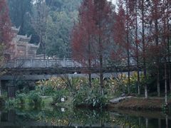 -重庆彩云湖湿地公园