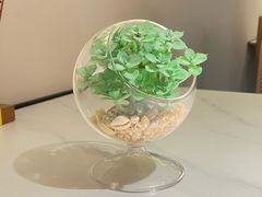-码头见·潮汕菜(领展中心城店)