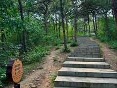 -北京西山国家森林公园