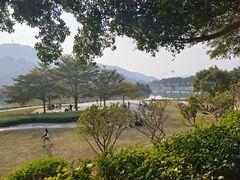 -风云岭森林公园