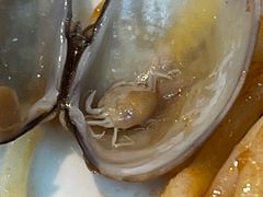 -比格比萨自助(国展店)