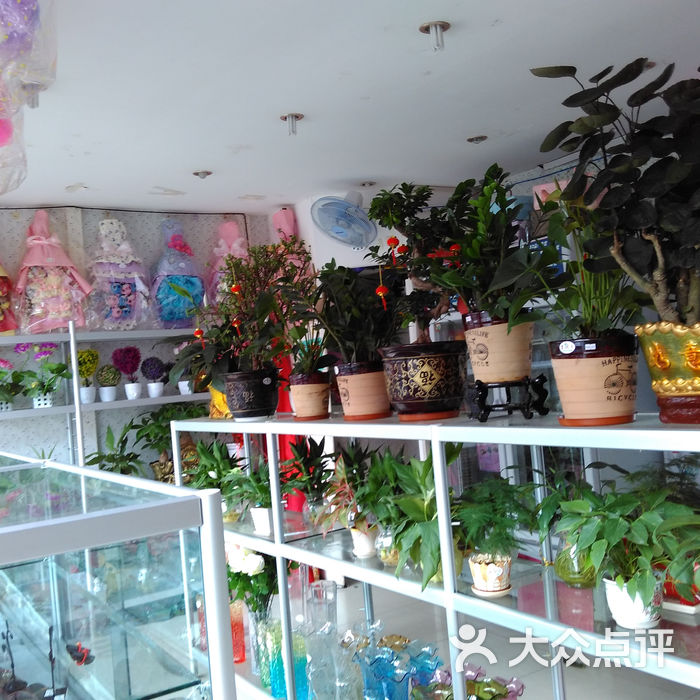 塘下涌百花园花店