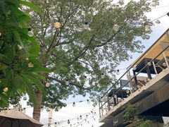 -喜洲吧·江畔老船厂·庭院餐厅(喜临院店)