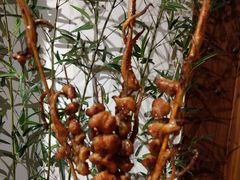 -功夫小龙虾·烧烤·江湖菜(金沙洲店)