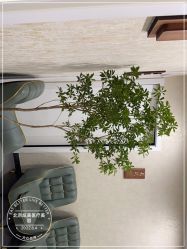 -北京炫美医疗美容