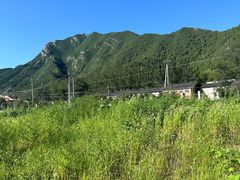 -康陵正德春饼宴26号